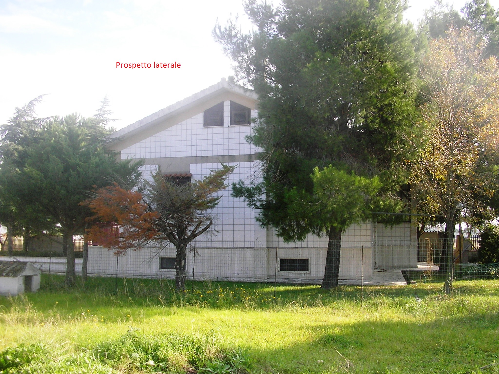 laterale (2)
